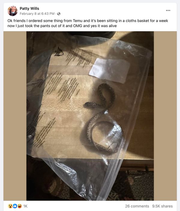 A woman in Oklahoma named Patty Wills said that she found a live snake inside of her pants package that she received from Temu apparently in China.