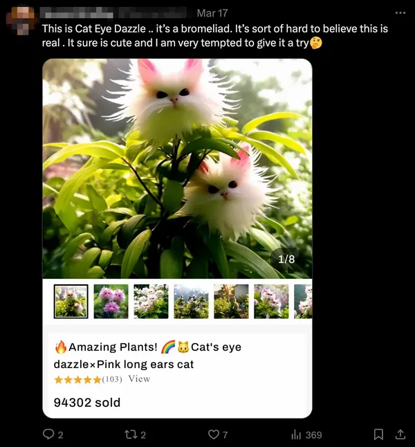 A fake flower called cats eye dazzle is being shared online next to sales for supposed seeds, all based on photos generated by AI.