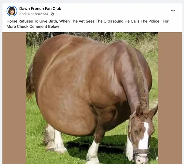 A viral story headline read Horse Refuses To Give Birth When The Vet Sees The Ultrasound He Calls The Police.